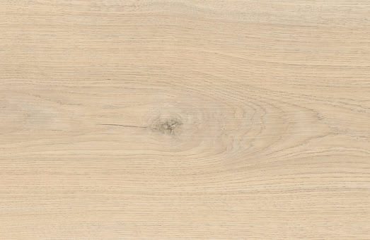  haro laminatboden campus 4v eiche emilia samtweiss authentic soft pl