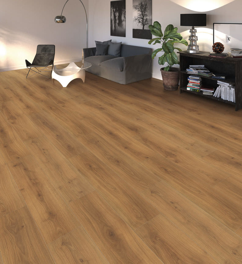  haro laminatboden campus 4v eiche emilia honig authentic soft qv